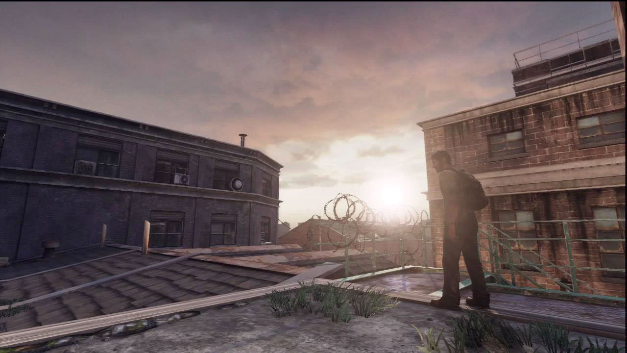 The Last of Us sky